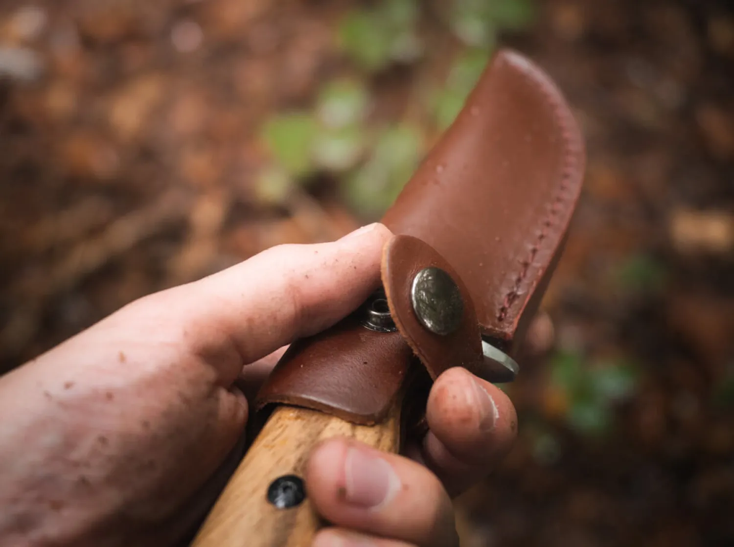 Zebra Drop>Magnum New