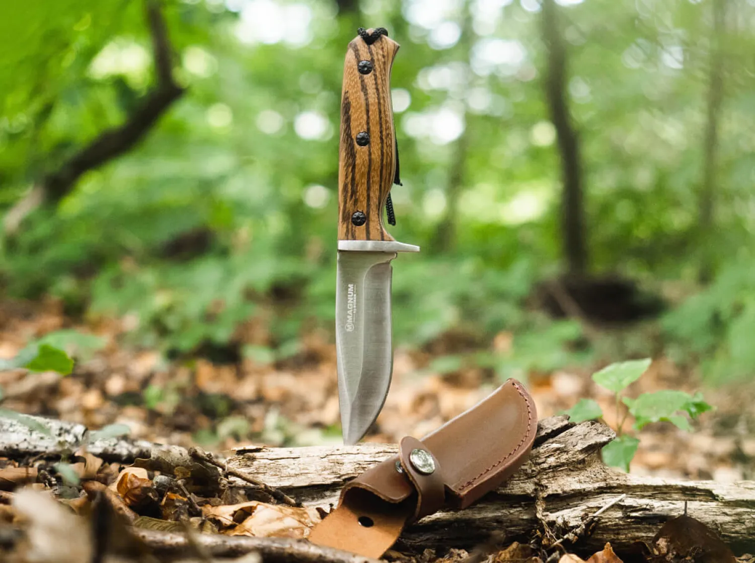 Zebra Drop>Magnum Discount