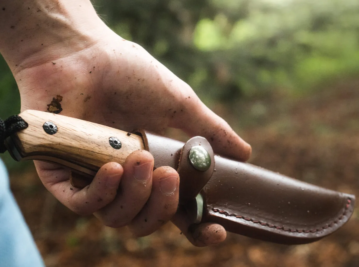 Zebra Drop>Magnum Discount